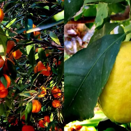 Willa Casa Champasak Orgiva Zewnętrze zdjęcie
